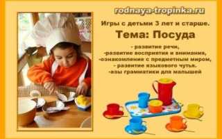 Конспект логопедического занятия в подготовительной группе для детей с ОНР по теме «Посуда»