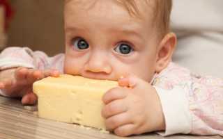 Можно ли годовалому ребенку сыр, чтобы не навредить