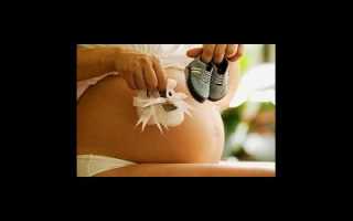 Беременность день за днём, неделя за неделей. Как развивается эмбрион