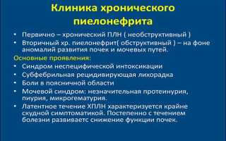Пиелонефрит у грудничка: как распознать и что делать