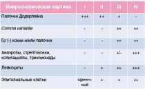 Анализ отделяемого мочеполовых органов и прямой кишки расшифровка