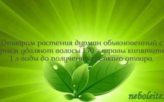 Сколько делается гистология и что показывает анализ