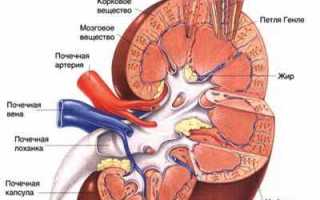 Хпн 3 степени продолжительность жизни