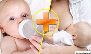 Две груди — два ребенка: как организовать грудное вскармливание двойняшек