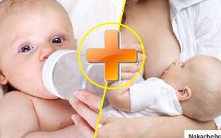 Две груди — два ребенка: как организовать грудное вскармливание двойняшек