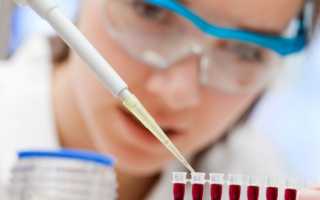 Действие амилазы в организме, как антидиабетического фермента, повышающего энергию