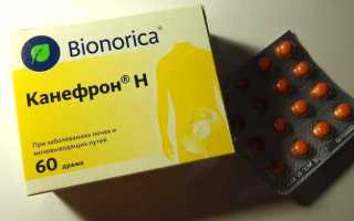 Нефростен или Канефрон — что лучше выбрать?