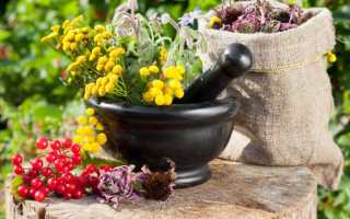 Урологические сборы при пиелонефрите