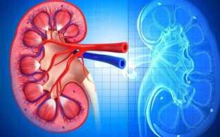 Основные стадии ХПН по креатинину: как определить и лечить болезнь?