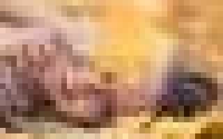 Цинковая мазь инструкция по применению от чего помогает