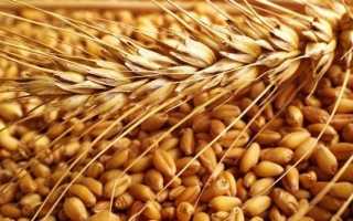 Насколько опасна аллергия на глютен у детей, ее симптомы, лечение и последствия