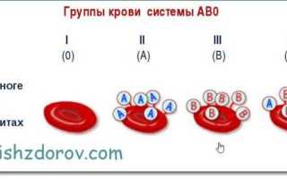 Какая группа крови будет у детей, если у родителей 1 и 2 группа крови