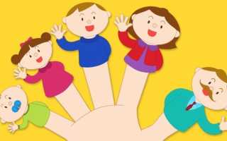 Лэпбук «Зимующие и перелётные птицы»: стимулируем интерес детей к природе