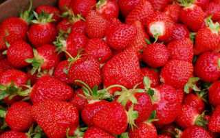 Клубника при беременности: особенности употребления, польза и противопоказания