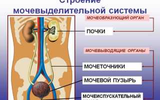 Как выходит песок из почек: симптомы у женщин и мужчин