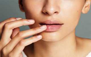 Как увлажнить губы в домашних условиях – маски и средства по уходу