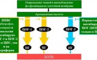 «Но-шпа» внутримышечно: инструкция по применению, назначение, дозировка, состав, показания и противопоказания