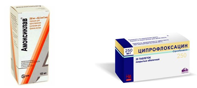«Амоксиклав» и «Ципрофлоксацин»