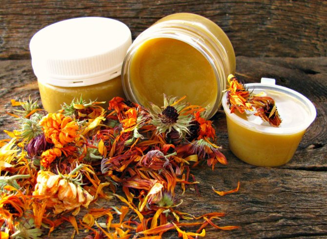 эксфолиативный хейлит (главный ключ)