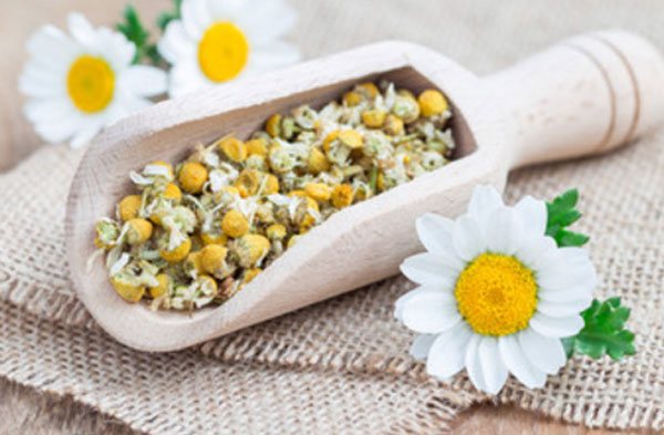 Глубокая лопатка с высушенными цветочками ромашки. Рядом три больших цветка ромашки