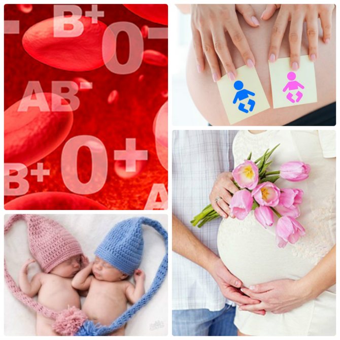 Группа крови