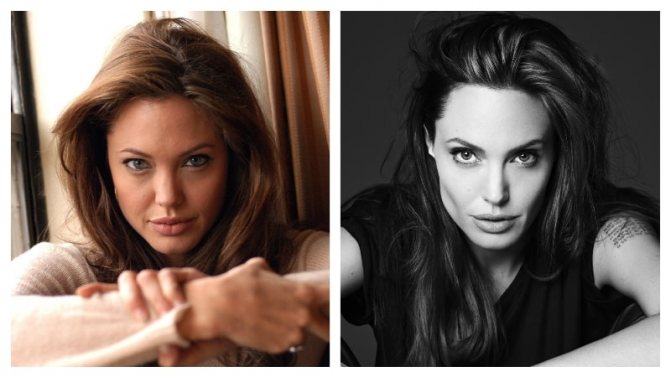 комки биша, Анджелина Джоли