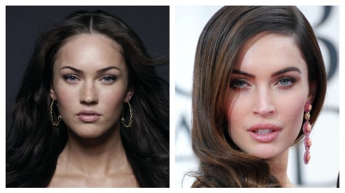 комки биша и Меган Фокс