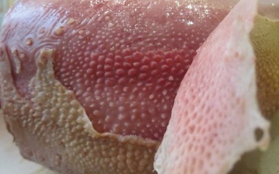 Облазит слизистая языка