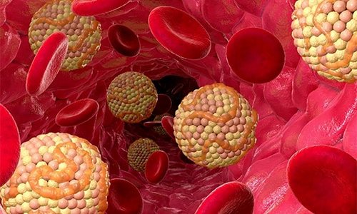 Помогает нормализовать липидный обмен и снизить синтез холестерина