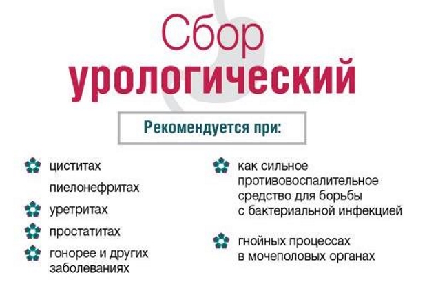 Урологический сбор поможет добиться успеха при лечении простатита