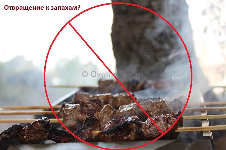 Резкое и внезапное отвращение к определенным запахам - симптом ранней беременности