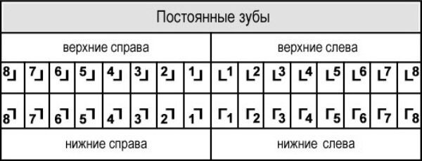 система для проведения нумерации зубов