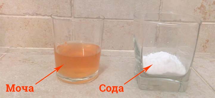 Тест моча и сода