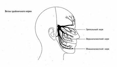 Тройничный нерв