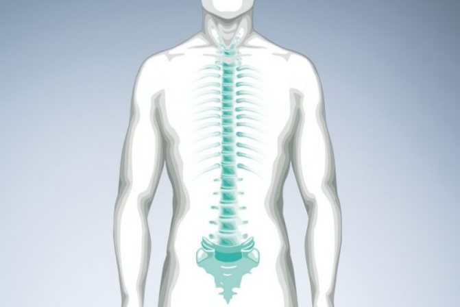 Все об электрофорезе с эуфиллином