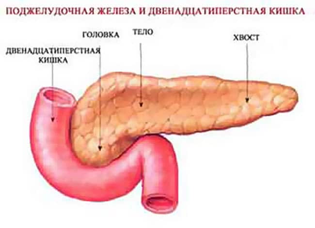 deformaciya-podzheludochnoj-zhelezy