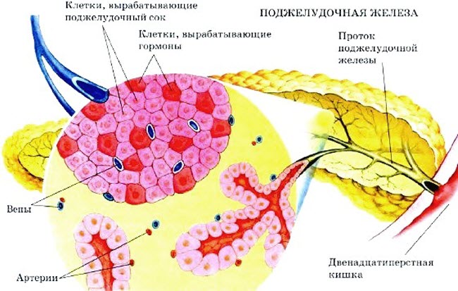 nedostatok-fermentov-podzheludochnoj-zhelezy1