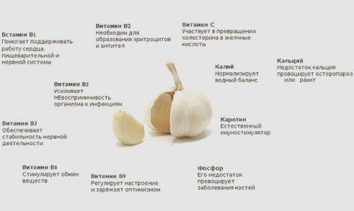 чеснок и поджелудочная железа