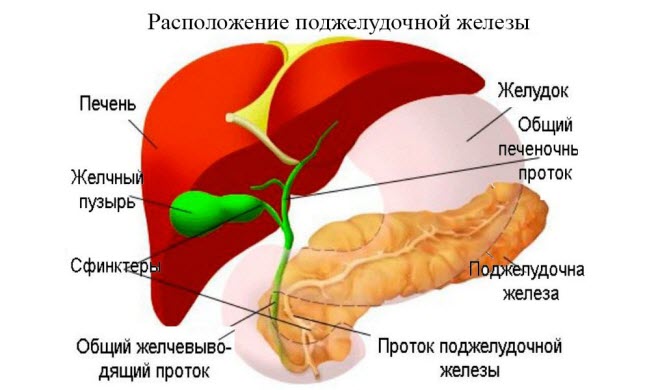 панкреатит что это такое симптомы и лечение панкреатит что это такое симптомы и лечение
