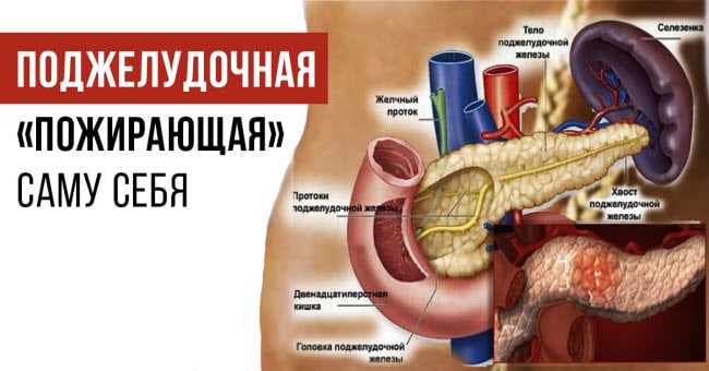 симптомы и признаки острого и хронического панкреатита симптомы и признаки острого и хронического панкреатита