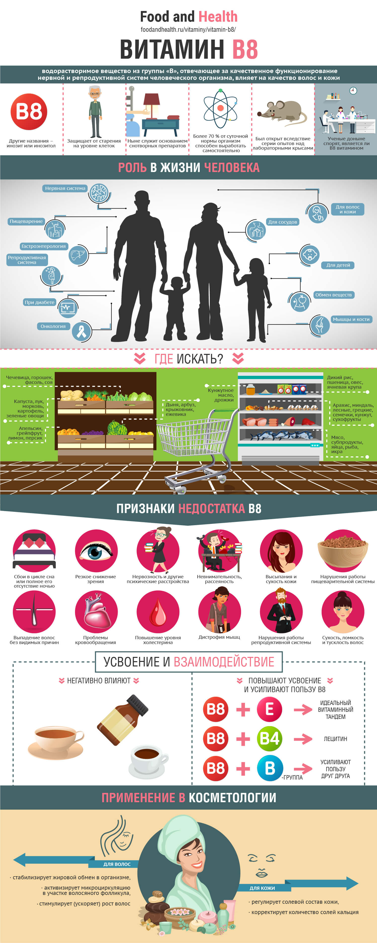 Витамин B8 - инфографика | Food and Health Витамин B8 - инфографика